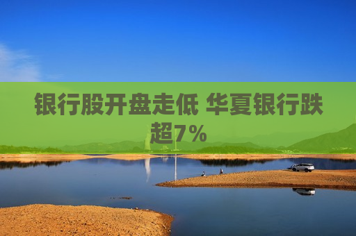 银行股开盘走低 华夏银行跌超7%