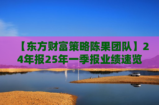 【东方财富策略陈果团队】24年报25年一季报业绩速览