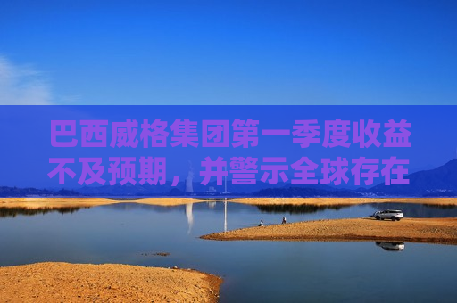 巴西威格集团之一季度收益不及预期，并警示全球存在不确定性