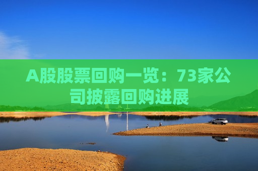 A股股票回购一览：73家公司披露回购进展