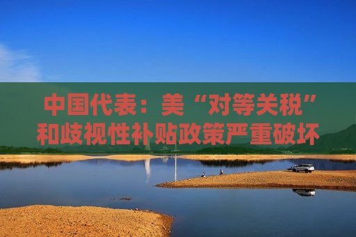 中国代表：美“对等关税”和歧视性补贴政策严重破坏世贸规则