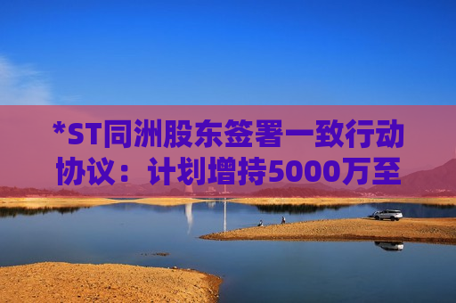 *ST同洲股东签署一致行动协议：计划增持5000万至1亿股，持股比例达6.63%