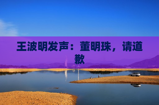 王波明发声：董明珠，请道歉