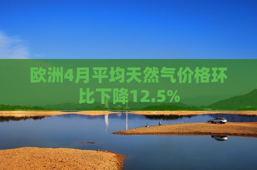 欧洲4月平均天然气价格环比下降12.5%