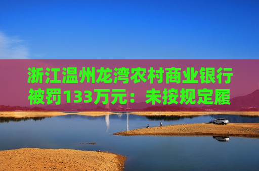浙江温州龙湾农村商业银行被罚133万元：未按规定履行客户身份识别义务等