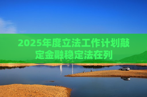 2025年度立法工作计划敲定金融稳定法在列