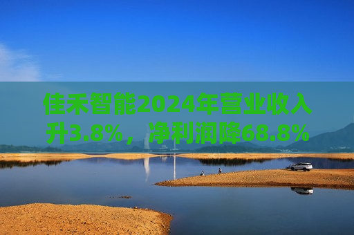 佳禾智能2024年营业收入升3.8%，净利润降68.8%