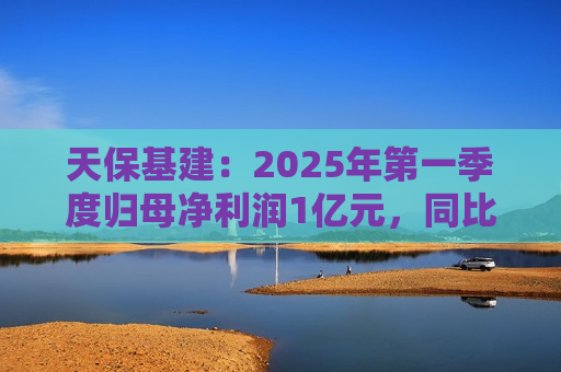天保基建：2025年之一季度归母净利润1亿元，同比增长737.29%