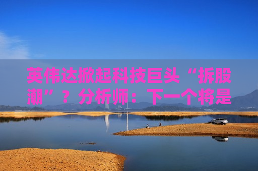 英伟达掀起科技巨头“拆股潮”？分析师：下一个将是Meta