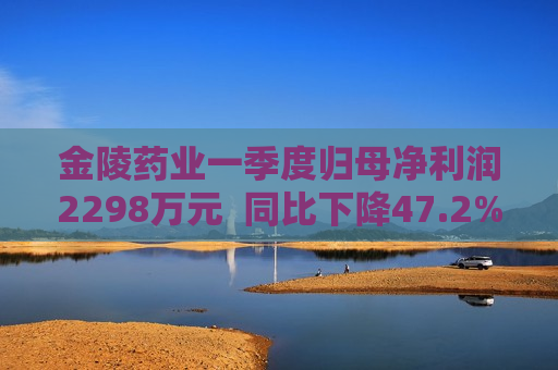 金陵药业一季度归母净利润2298万元  同比下降47.2%