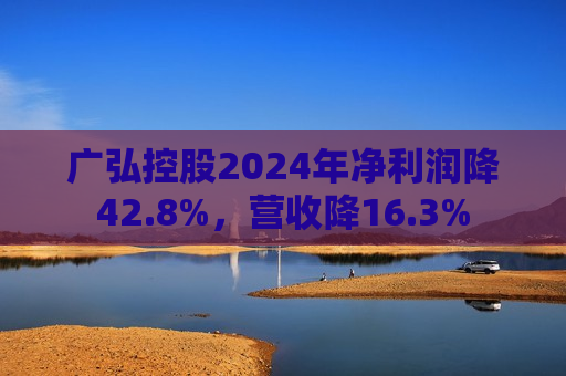 广弘控股2024年净利润降42.8%，营收降16.3%