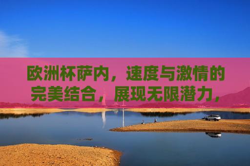 欧洲杯萨内，速度与 *** 的完美结合，展现无限潜力，欧洲杯萨内，速度与 *** 的璀璨新星，欧洲杯萨内，速度与 *** 的璀璨新星