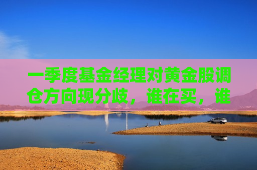 一季度基金经理对黄金股调仓方向现分歧，谁在买，谁在卖？