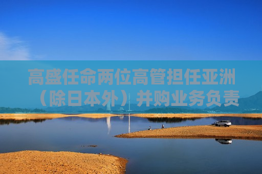 高盛任命两位高管担任亚洲（除日本外）并购业务负责人