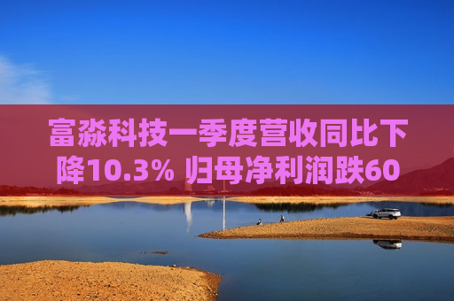 富淼科技一季度营收同比下降10.3% 归母净利润跌60.5%