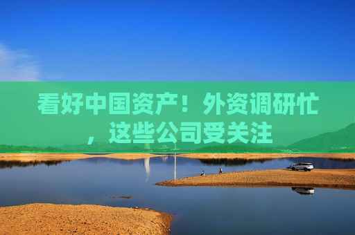 看好中国资产！外资调研忙，这些公司受关注