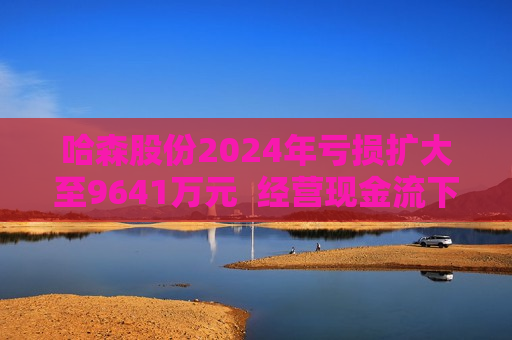 哈森股份2024年亏损扩大至9641万元  经营现金流下滑131.4%