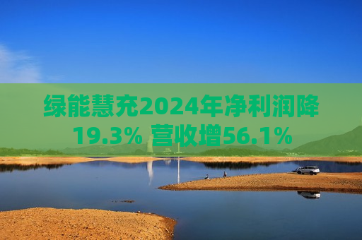 绿能慧充2024年净利润降19.3% 营收增56.1%