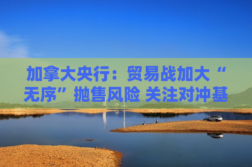 加拿大央行：贸易战加大“无序”抛售风险 关注对冲基金杠杆问题
