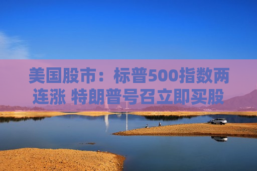 美国股市：标普500指数两连涨 特朗普号召立即买股票  第1张