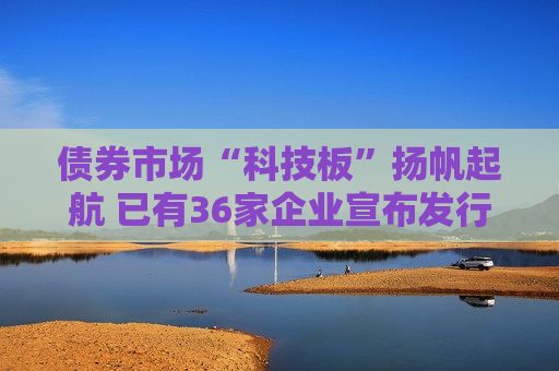 债券市场“科技板”扬帆起航 已有36家企业宣布发行科技创新债券  第1张