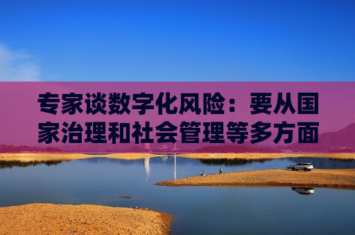 专家谈数字化风险：要从国家治理和社会管理等多方面采取措施