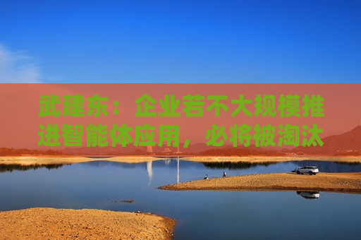 武建东：企业若不大规模推进智能体应用，必将被淘汰