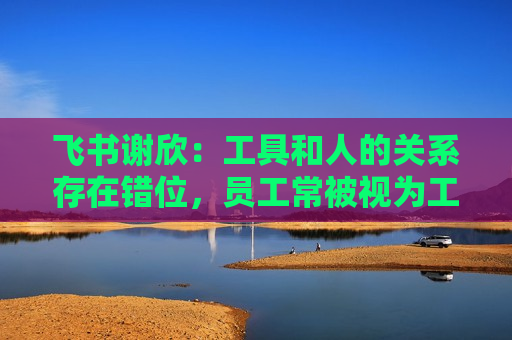 飞书谢欣：工具和人的关系存在错位，员工常被视为工具的附属