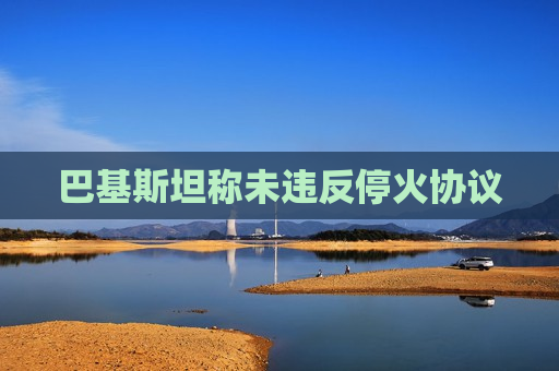 巴基斯坦称未违反停火协议