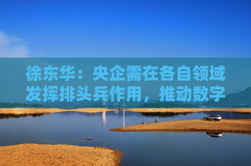 徐东华：央企需在各自领域发挥排头兵作用，推动数字化转型  第1张