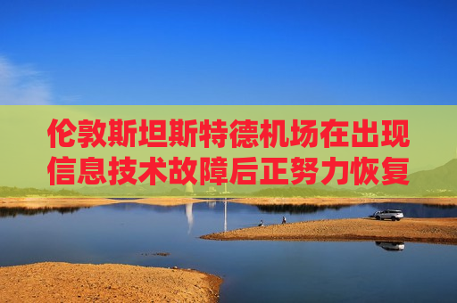 伦敦斯坦斯特德机场在出现信息技术故障后正努力恢复运营  第1张