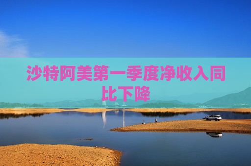 沙特阿美之一季度净收入同比下降  第1张