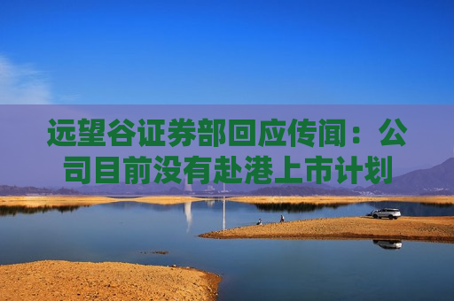 远望谷证券部回应传闻：公司目前没有赴港上市计划