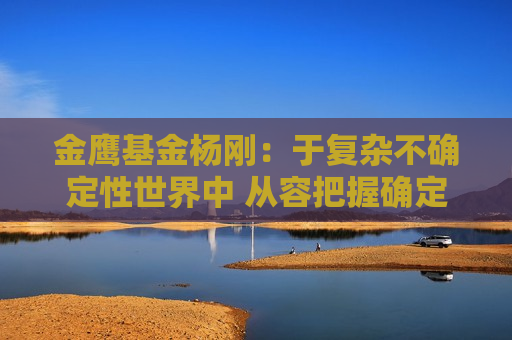 金鹰基金杨刚：于复杂不确定性世界中 从容把握确定性投资机会