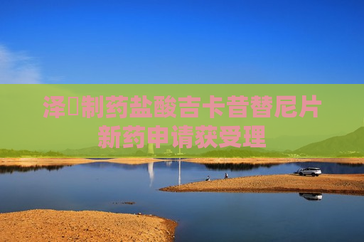 泽璟制药盐酸吉卡昔替尼片新药申请获受理