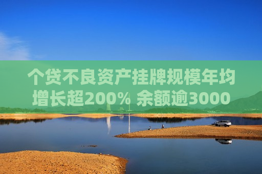 个贷不良资产挂牌规模年均增长超200% 余额逾3000亿 玩家不断入局