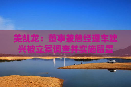 美凯龙：董事兼总经理车建兴被立案调查并实施留置