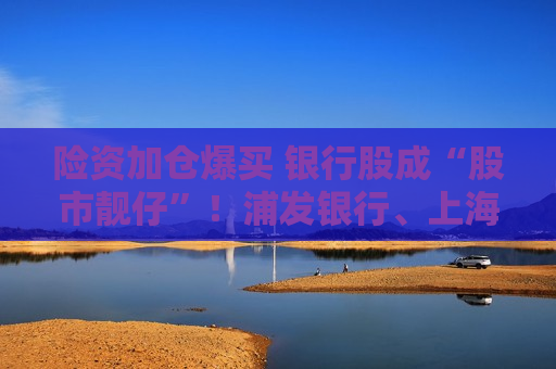 险资加仓爆买 银行股成“股市靓仔”！浦发银行、上海银行等股价飙到历史新高