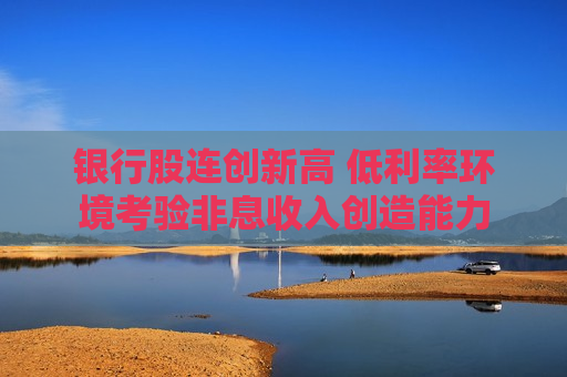 银行股连创新高 低利率环境考验非息收入创造能力