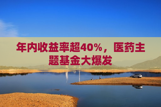 年内收益率超40%，医药主题基金大爆发
