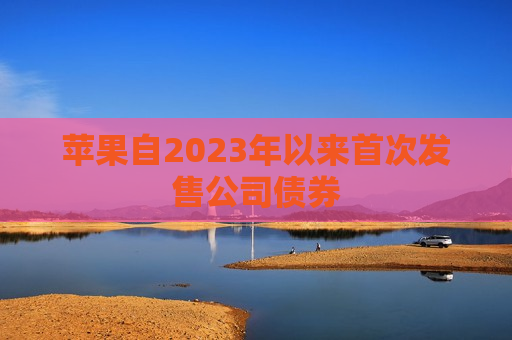 苹果自2023年以来首次发售公司债券