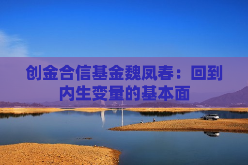 创金合信基金魏凤春：回到内生变量的基本面