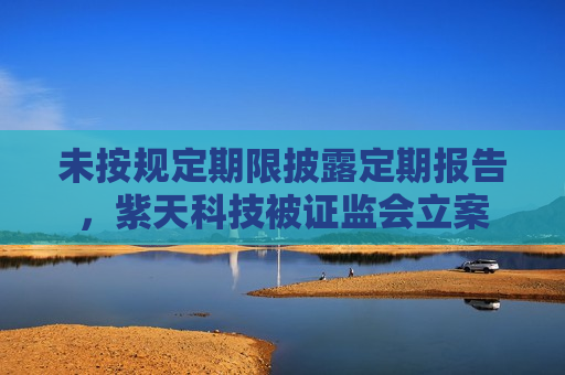 未按规定期限披露定期报告，紫天科技被 *** 立案