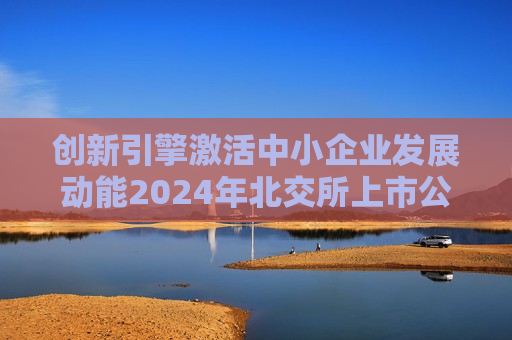 创新引擎激活中小企业发展动能2024年北交所上市公司超八成盈利