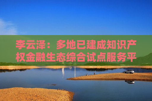李云泽：多地已建成知识产权金融生态综合试点服务平台