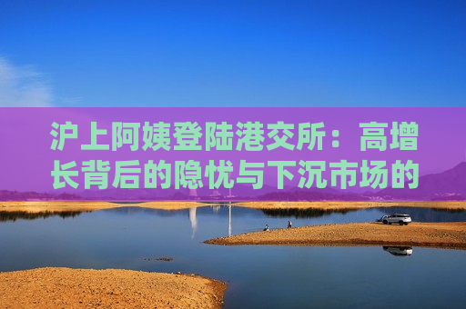 沪上阿姨登陆港交所：高增长背后的隐忧与下沉市场的突围战