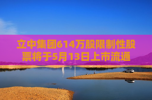 立中集团614万股限制性股票将于5月13日上市流通