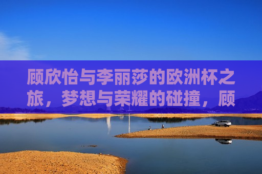 顾欣怡与李丽莎的欧洲杯之旅，梦想与荣耀的碰撞，顾欣怡与李丽莎的欧洲杯之旅，梦想与荣耀的交汇，顾欣怡与李丽莎欧洲杯之旅，梦想与荣耀的交汇点