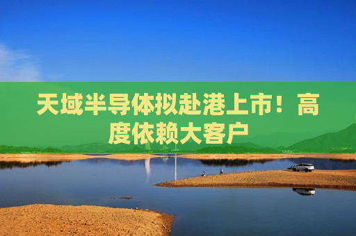 天域半导体拟赴港上市！高度依赖大客户