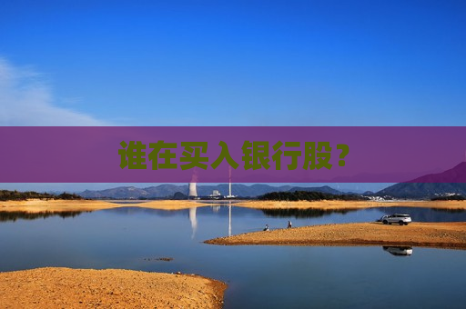 谁在买入银行股？
